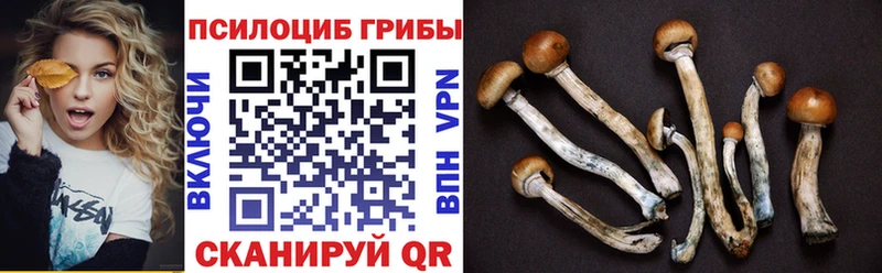 Галлюциногенные грибы Cubensis  магазин    Ессентуки 